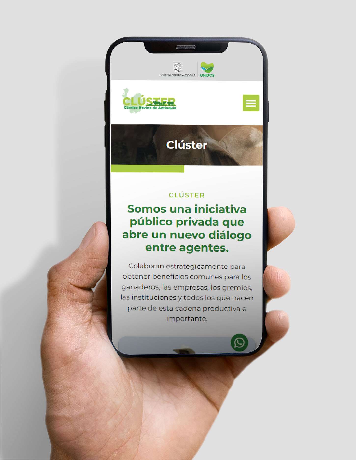 MOBILE-2-5