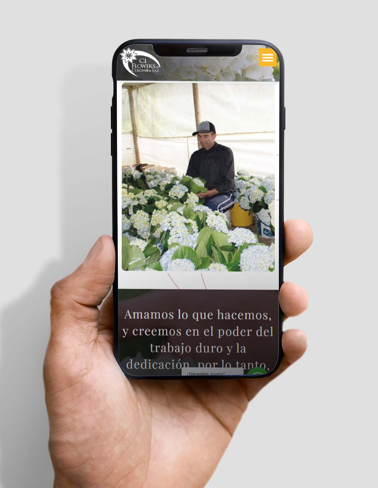 MOBILE-29