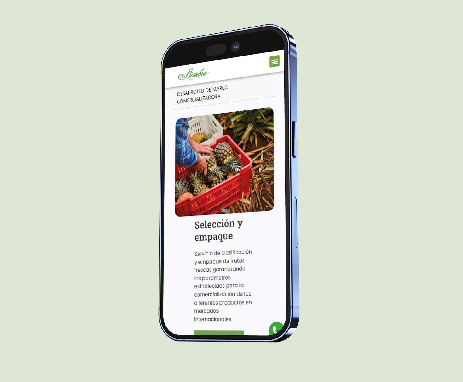 MOBILE-411.jpg